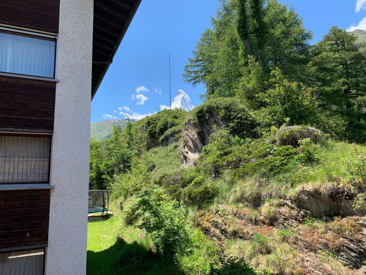 Appartements Zermatt Paradies Extérieur photo